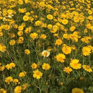 Meet your Posher, Janessa